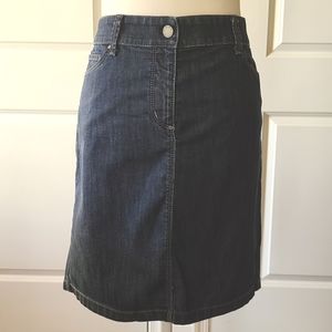 Ann Tylor Denim Skirt